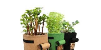 herb planting pots