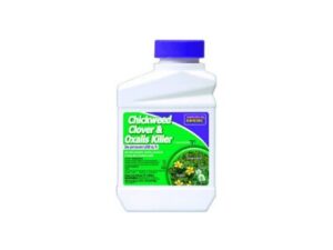 organic weed killer