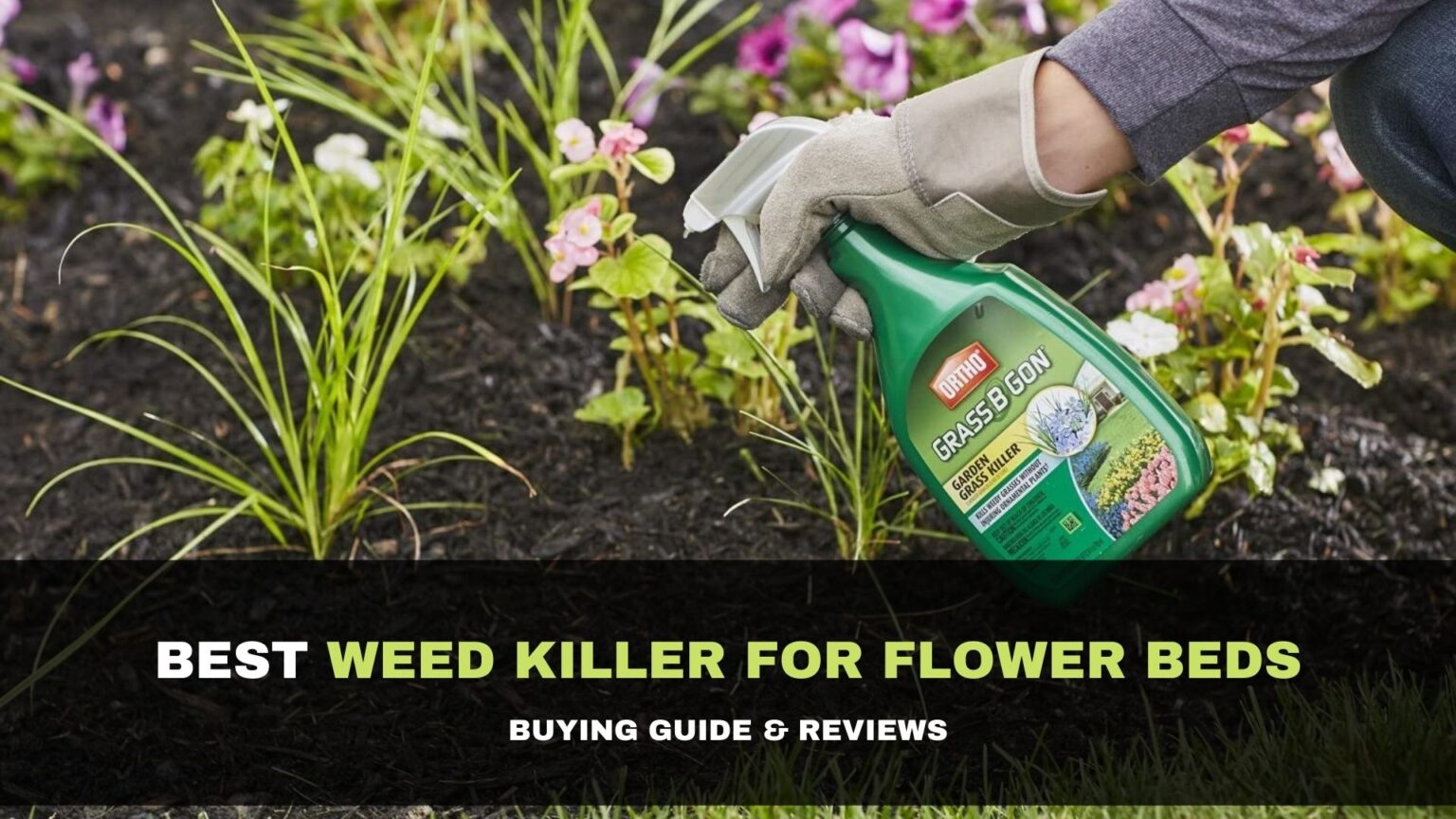 What Weed Killer Can I Use In Flower Beds at Lauren Elsie blog