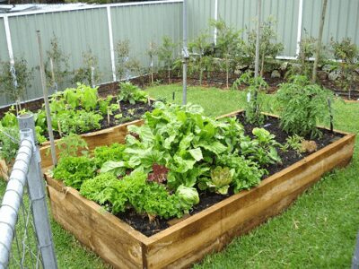 Garden Beds