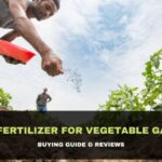 Best Fertilizer for Vegetable Garden