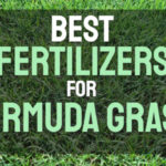 Fertilizers for Bermuda Grass