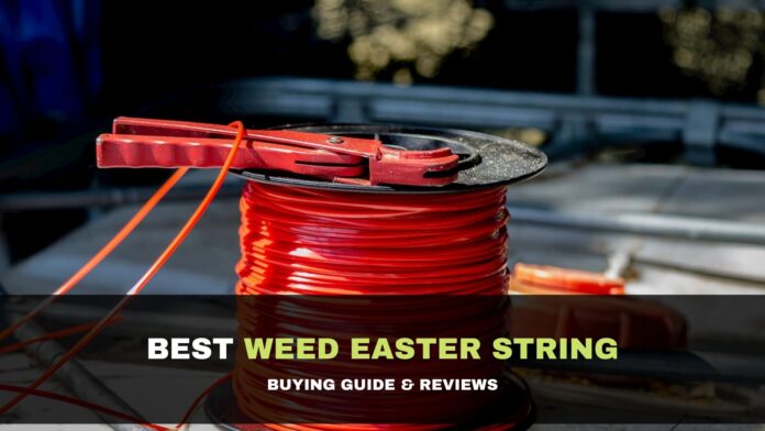 Weed Easter String
