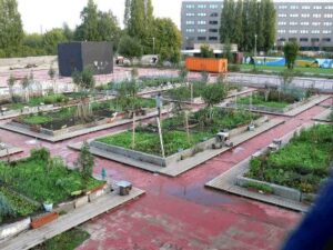 Urban Farming