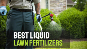 Best liquid lawn fertilizers