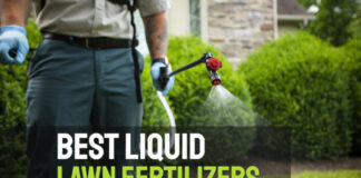 Best liquid lawn fertilizers
