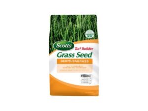 Bermuda Grass Seeds