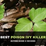 Best Poison Ivy Killer