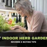 Best Indoor Herb Garden Kit