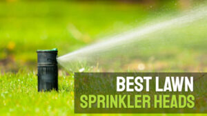 Best lawn sprinkler heads