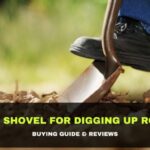 Best Shovel for Digging up Roots