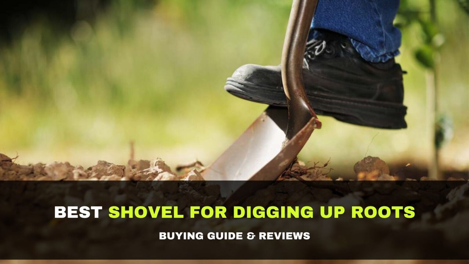 10 Best Shovel for Digging up Roots 2021 Reviews & Buying Guide
