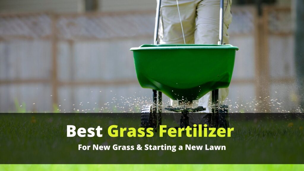 10 Best Grass Fertilizer 2021 - For New Grass & Starting a New Lawn