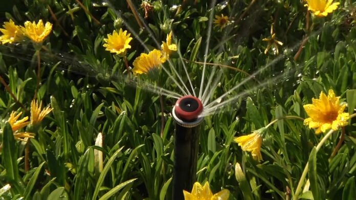 Rotator Sprinkler