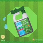 Advanced Lawn Food Natural Liquid Fertilizer