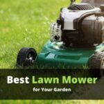 Best lawn Mower for Your Garden