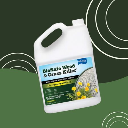 BioSafe Systems 7601-1 BioSafe Weed Control Concentrate