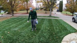 Lawn Star Liquid Iron
