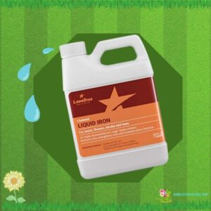 LawnStar Chelated Liquid Iron (32 OZ) for Plants