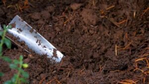The Best Soil for an Herb Garden