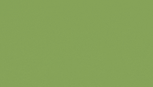 Best Fertilizer for Bermuda Grass