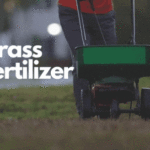 Best Grass Fertilizer
