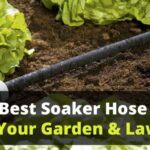 Best Soaker Hose For Your Garden and Lawn