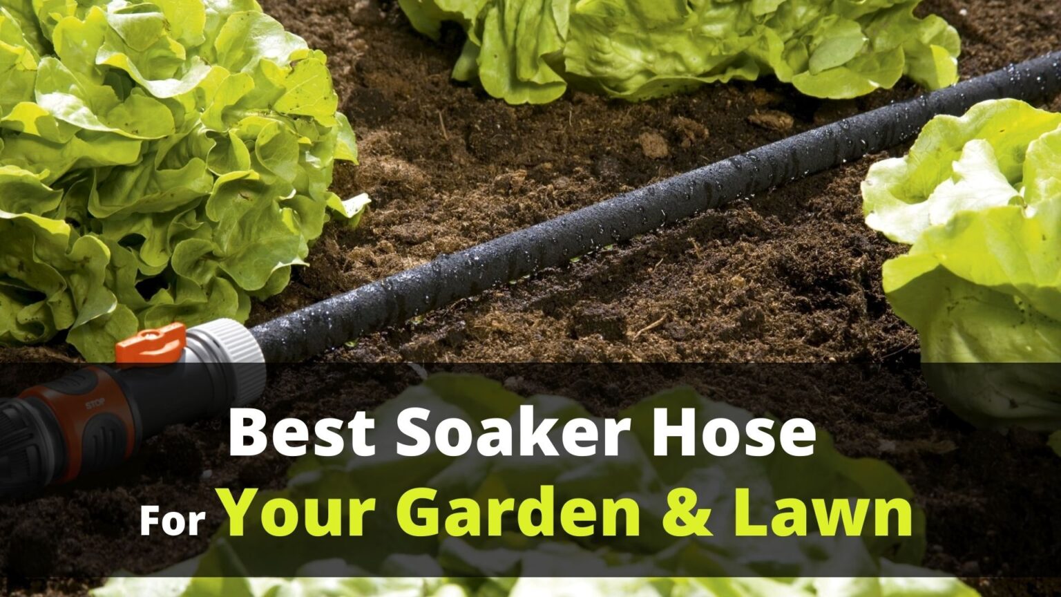 10 Best Soaker Hose For Your Garden And Lawn 2021 - Buying Guide