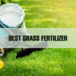 Grass Fertilizer