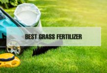 Grass Fertilizer