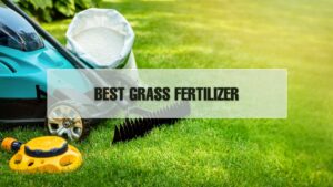 Grass Fertilizer