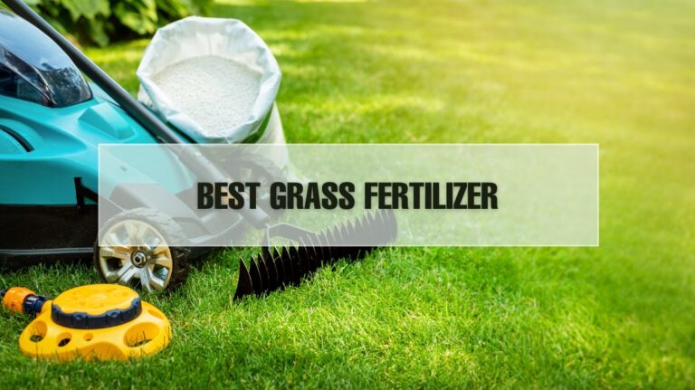 10 Best Grass Fertilizer 2024 - For New Grass & Starting a New Lawn