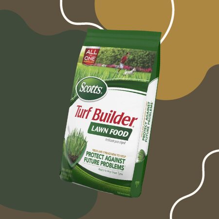 Scotts Turf Builder Lawn Food, 12.5 lb