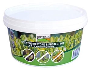 TOPBUXUS Boxwood Restore & Protect Mix