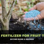 Best Fertilizer for Fruit Trees