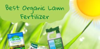 Melhor fertilizante orgânico para gramado