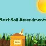 Best Soil Amendments