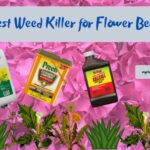 Best Weed Killer for Flower Beds