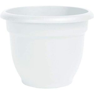 Bloem Ariana Self Watering Planter