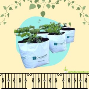 Cocogarden Medium Size Poly Growbags -Uv Stabilized