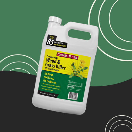 Compare-N-Save Concentrate Grass and Weed Killer