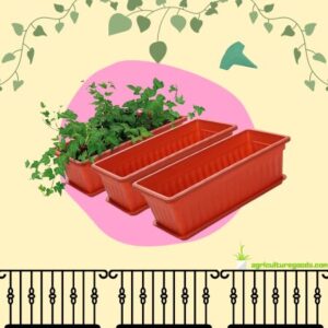 GROWNEER 3 Packs 17 Inches Pot