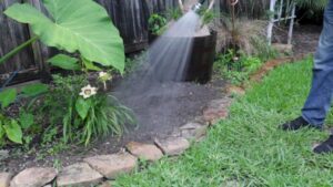 Get Rid of Weeds in Flower Beds