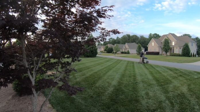 Lawn Fertilizer In The Summer