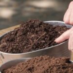 Soil Amendments _ The Dirt