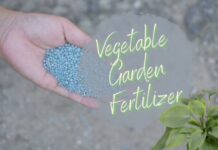Vegetable Garden Fertilizer