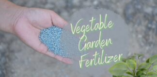Fertilizante para horta