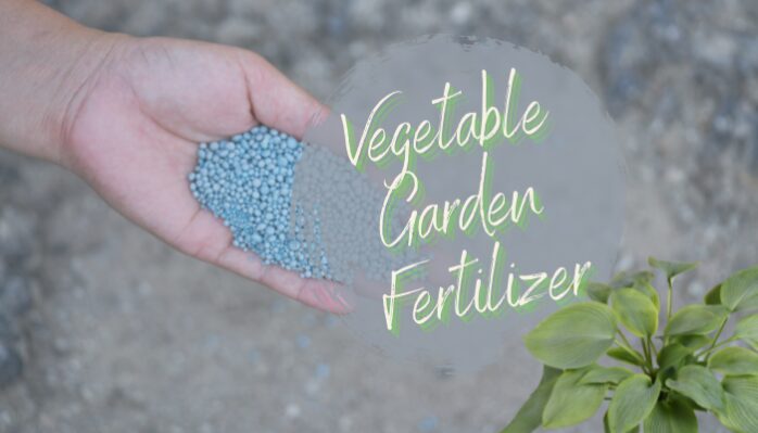 Vegetable Garden Fertilizer