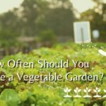 how often should you fertilize Garden