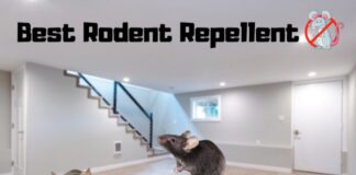 Melhor repelente de roedores